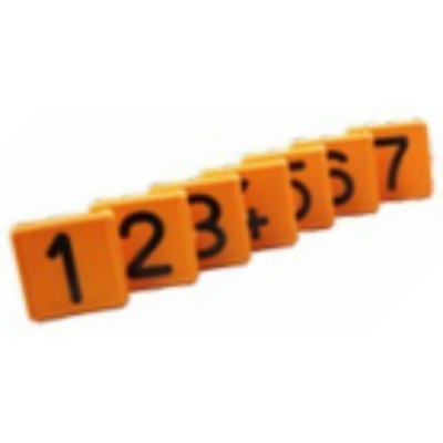 -31