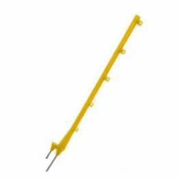 name-20
