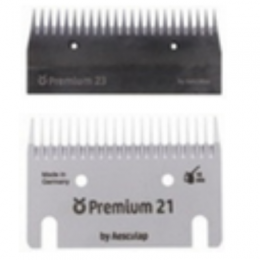  Premium-20