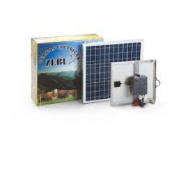  Zebu-20