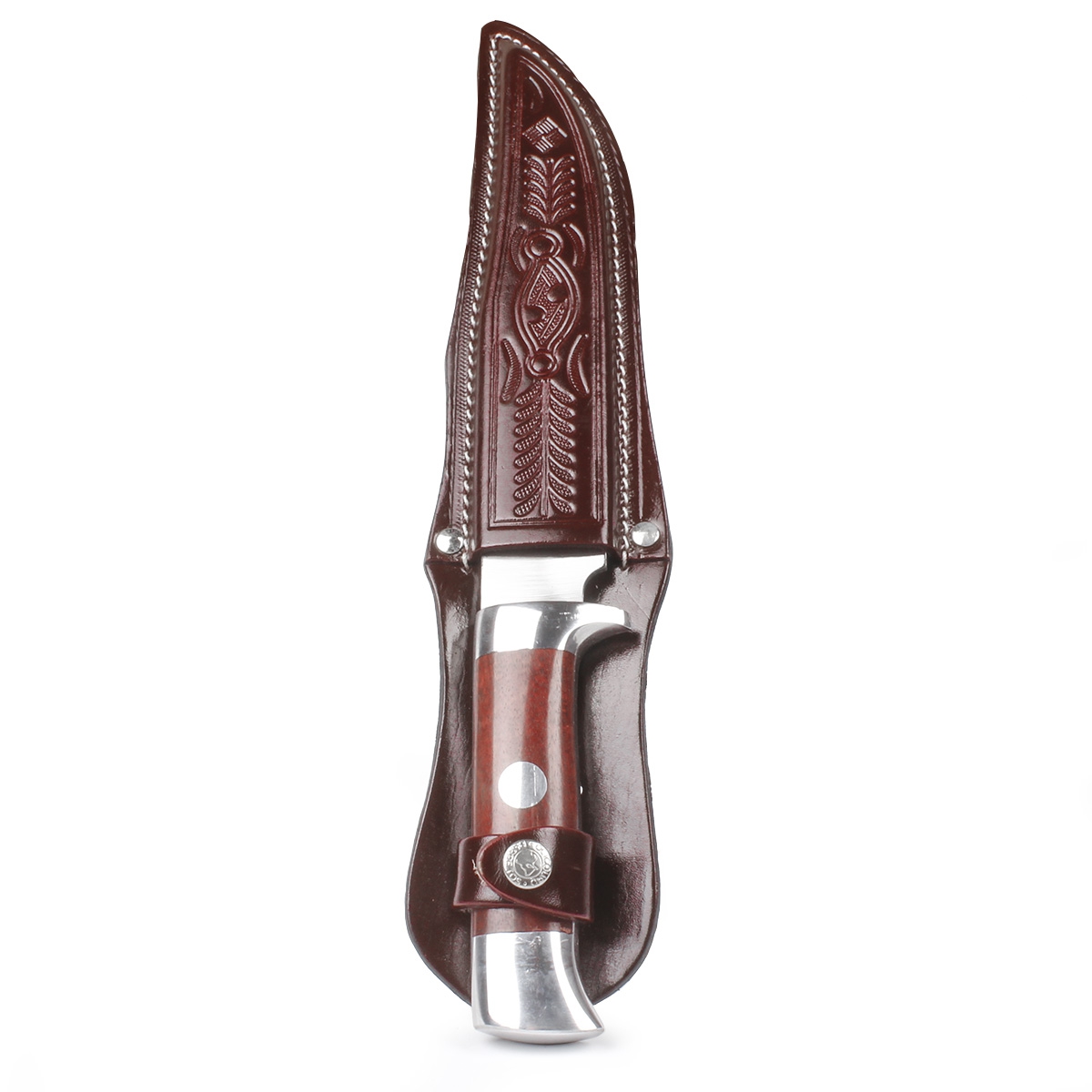  Zebu-33