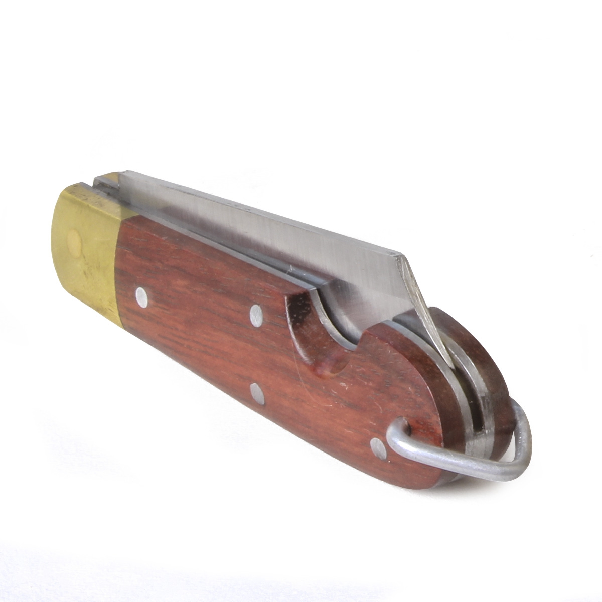  Zebu-31