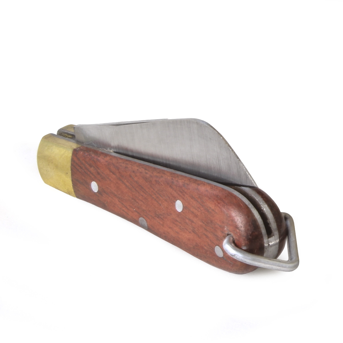  Zebu-31