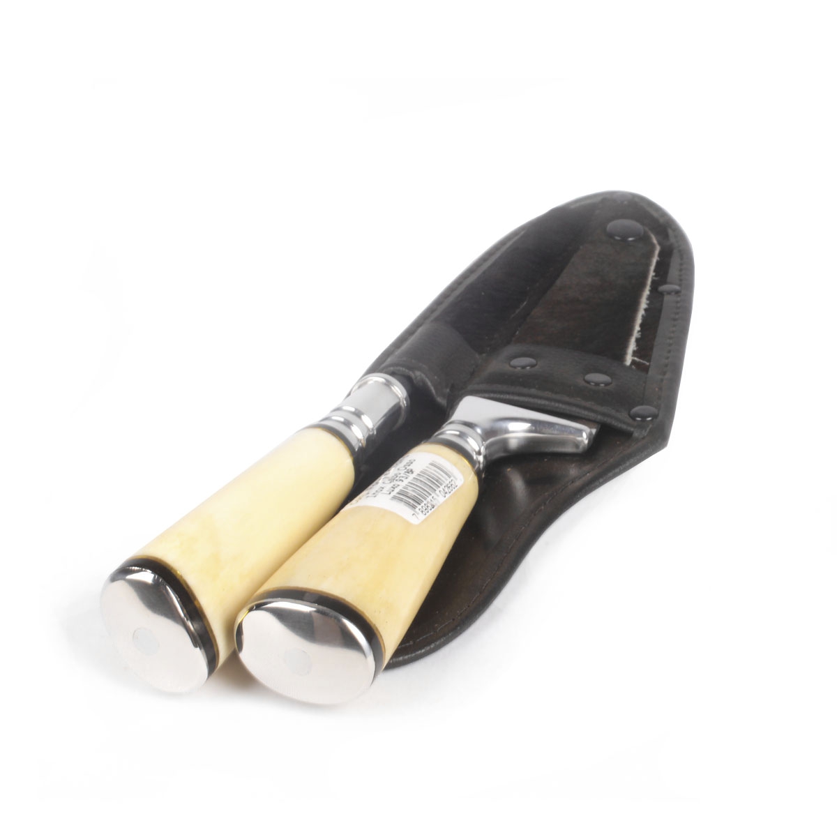  Hickmann-31
