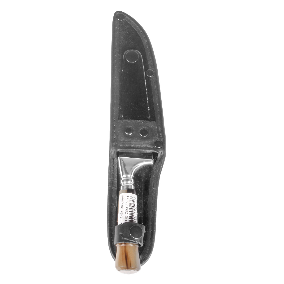  Hickmann-31