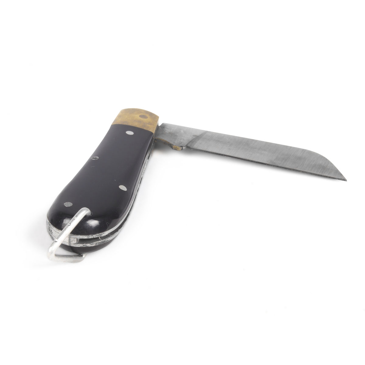  Zebu-31