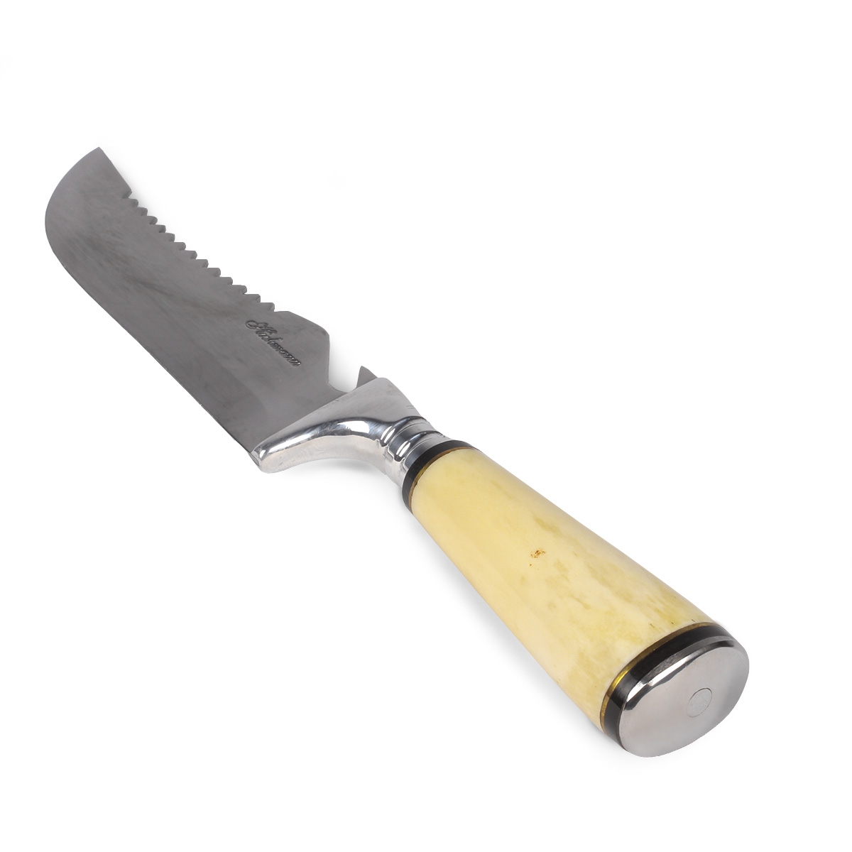  Hickmann-31