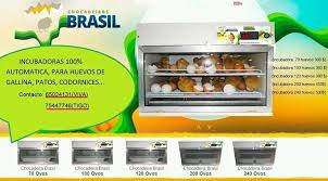  Premium Ecológica-32