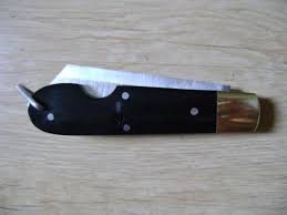  Zebu-31
