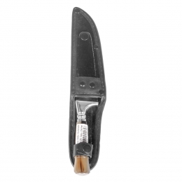  Hickmann-20