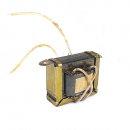  Zebu-20