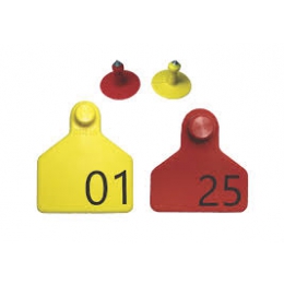 -20
