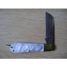  Zebu-20