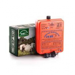  Zebu-20